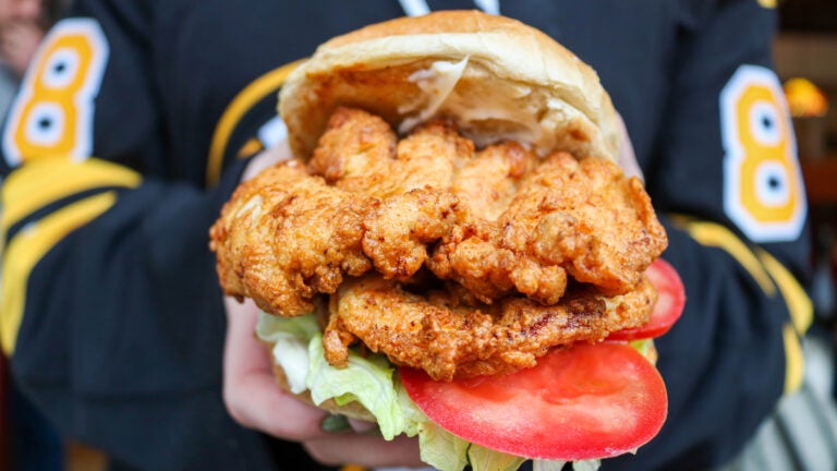 A chicken sandwich with tomato and lettuce.