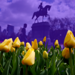 The B-Side spring things to do