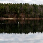 Walden Pond in Concord