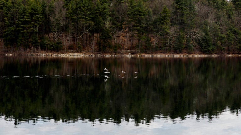 Walden Pond in Concord