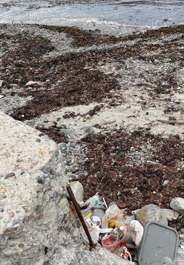 Man pleads guilty to abandoning dog in a dangerous spot on a Revere beach