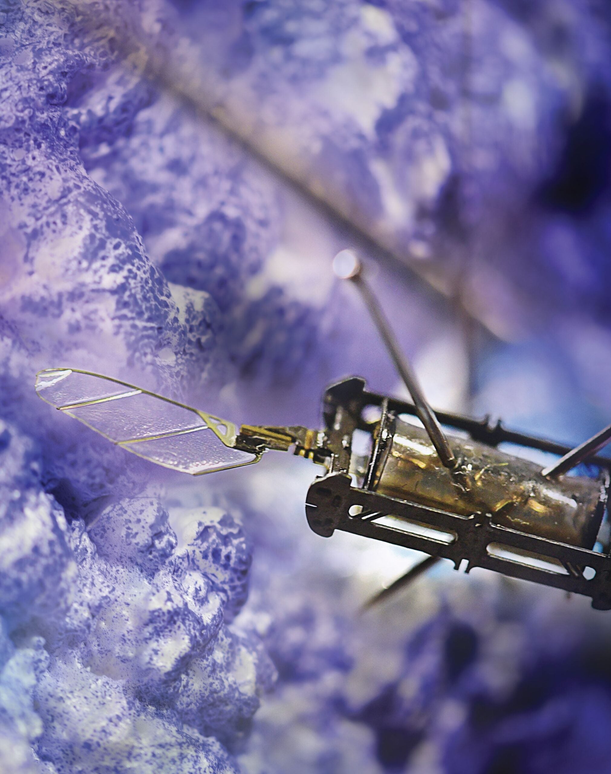 A robotic bee hovers over a purple background.