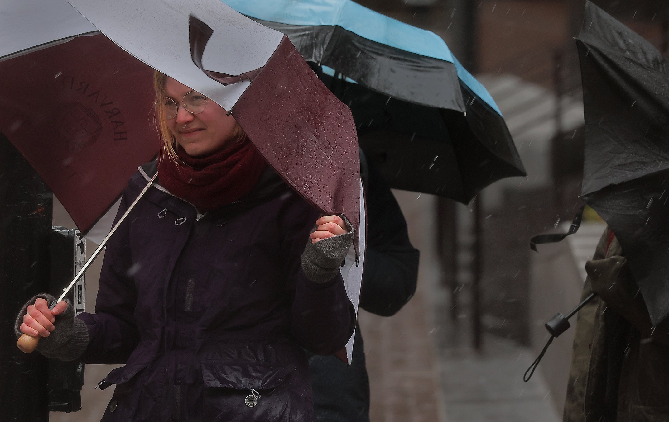 Pedestrians clutch umbrellas against the rain and wind