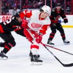 Tyler Bertuzzi while playing for the Red Wings.