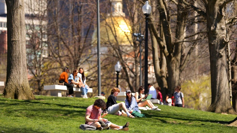 People sit on a hillside of the Boston Common.