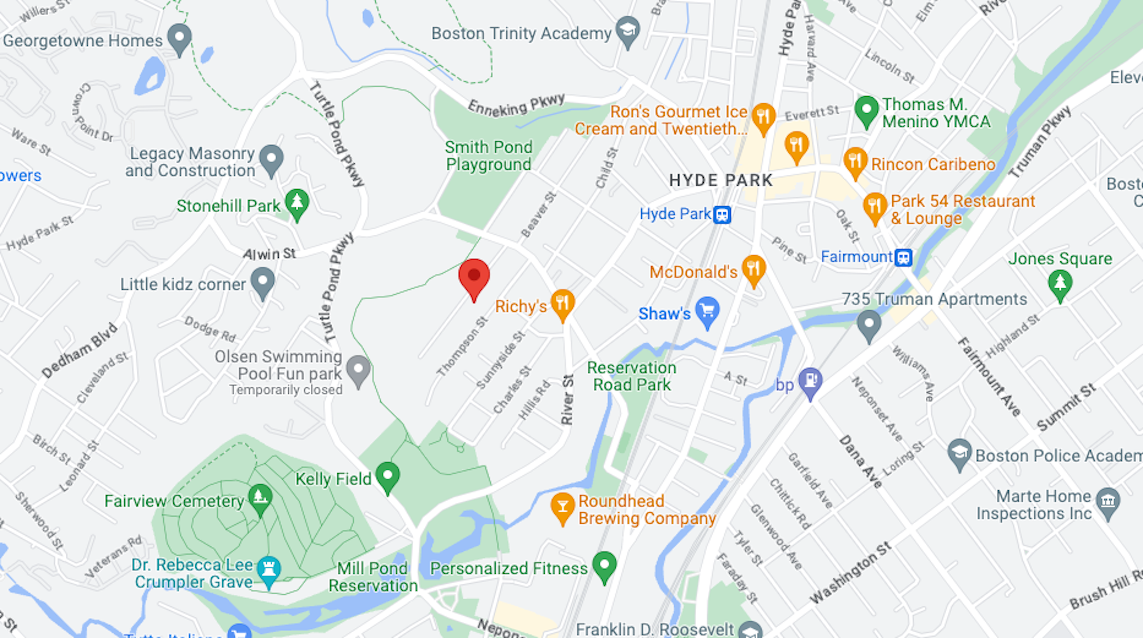 2 young men killed in Hyde Park shootings identified