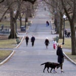 alt = A passer-by walks their dog along a path in the Boston Common, near the Statehouse on Beacon Hill in Boston in February.