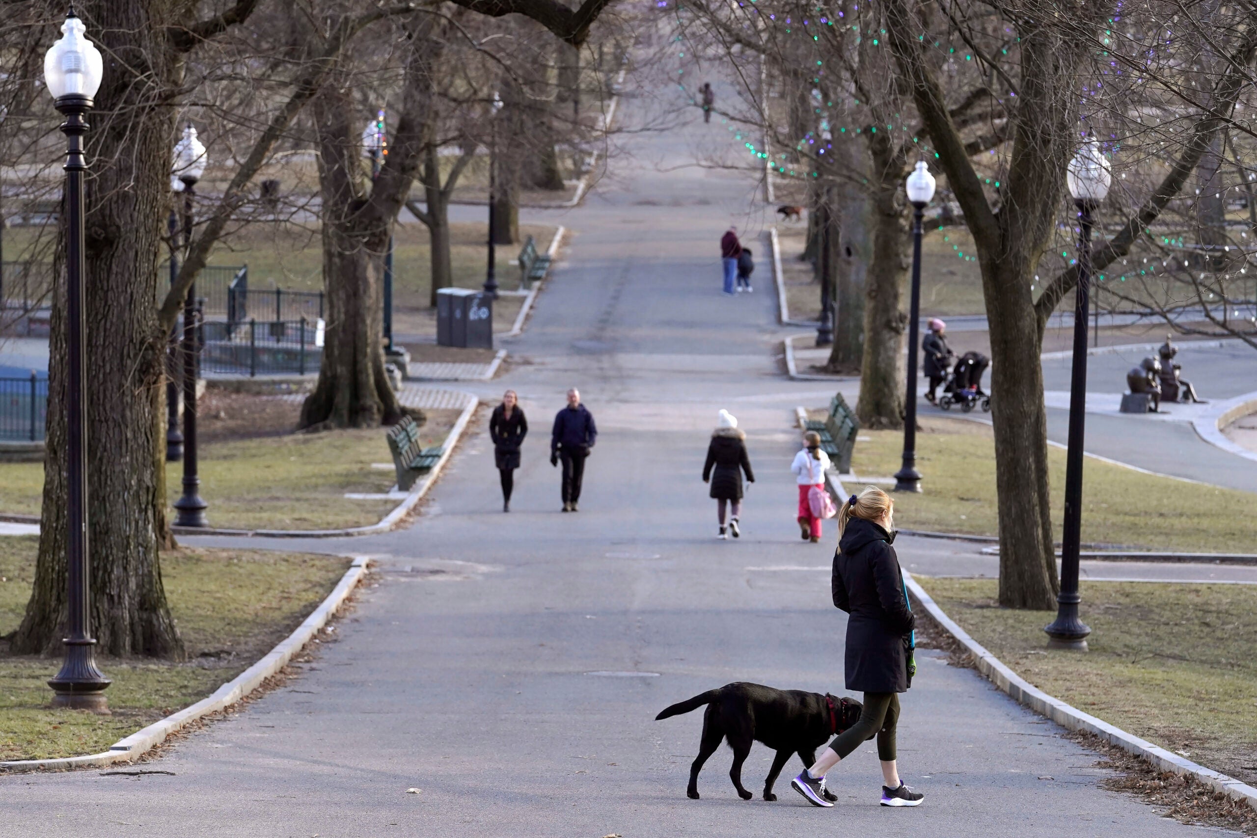 alt = A passer-by walks their dog along a path in the Boston Common, near the Statehouse on Beacon Hill in Boston in February.