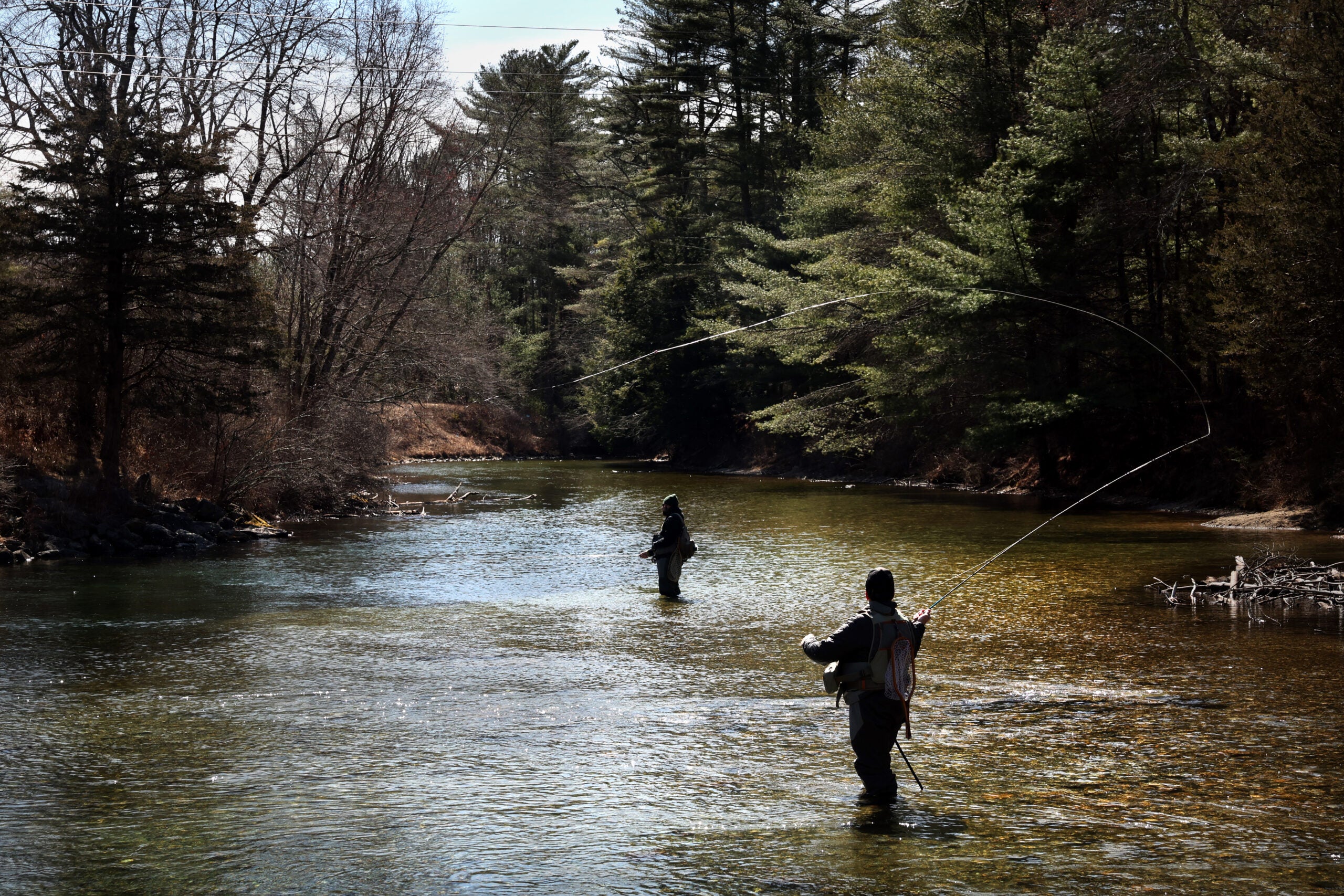 How a tiny Massachusetts river has become a star in the fly-fishing world