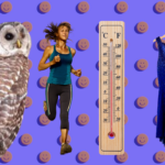 The B-Side good news roundup