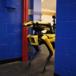 A Boston Dynamics robotic dog