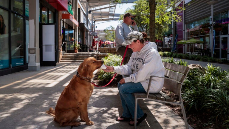Boston weather -- Sterling the Golden Retriever enjoys some ice cream with his mom Jen Doliber as they spend the afternoon at Patriot Place shopping mall.