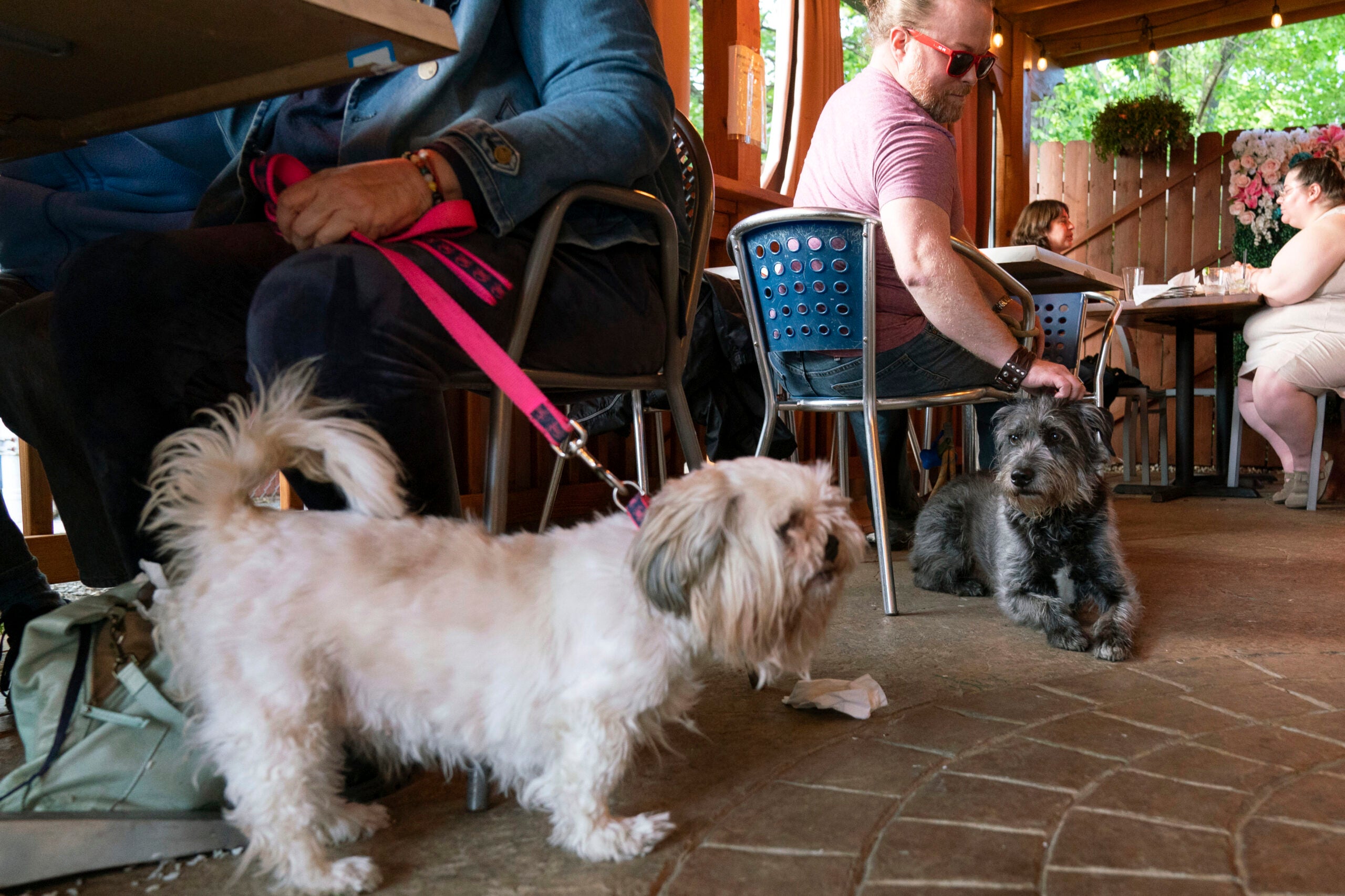 Monty Hobbs, right, and his dog Mattox sit next to another pet dog on the patio at the Olive Lounge in Takoma Park, Md.