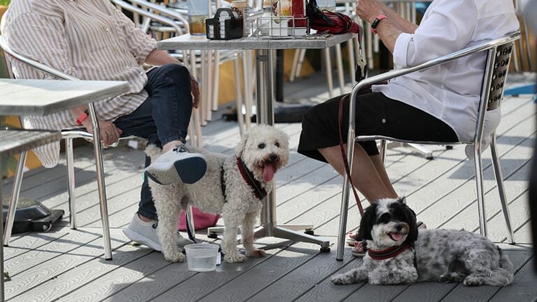 Where to Find Family-Friendly Brewery Patios and Beer Gardens Around Boston