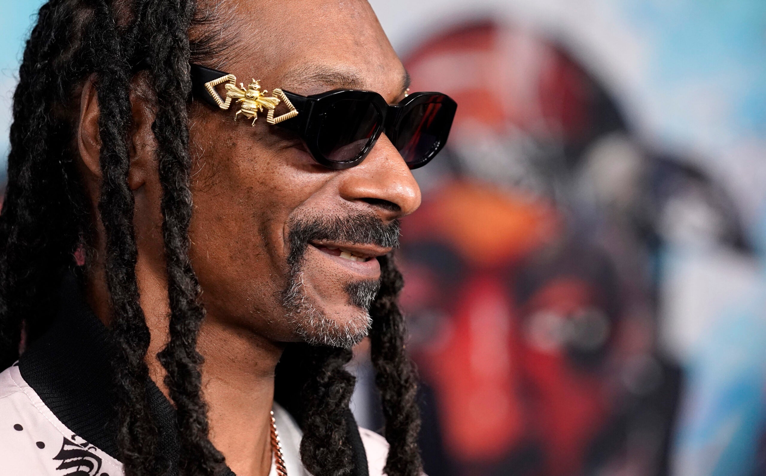 Snoop Dogg Joins Effort to Purchase Senators