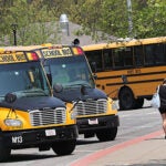 School buses in Marlborough