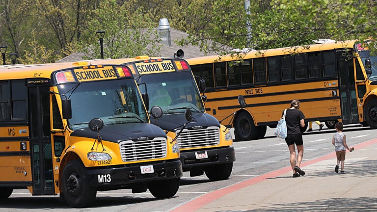 School buses in Marlborough