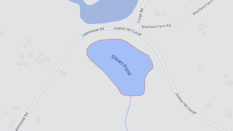 Beaver tail nailed to tree in Sterling prompts investigation - Vimarsana News