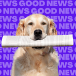 A golden retriever dog sits holding a rolled-up newspaper in its mouth. The background is purple with the words 'Good News' repeated over and over in all caps.