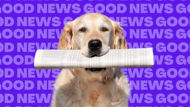 A golden retriever dog sits holding a rolled-up newspaper in its mouth. The background is purple with the words 'Good News' repeated over and over in all caps.
