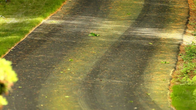 Pollen season is getting longer and more intense