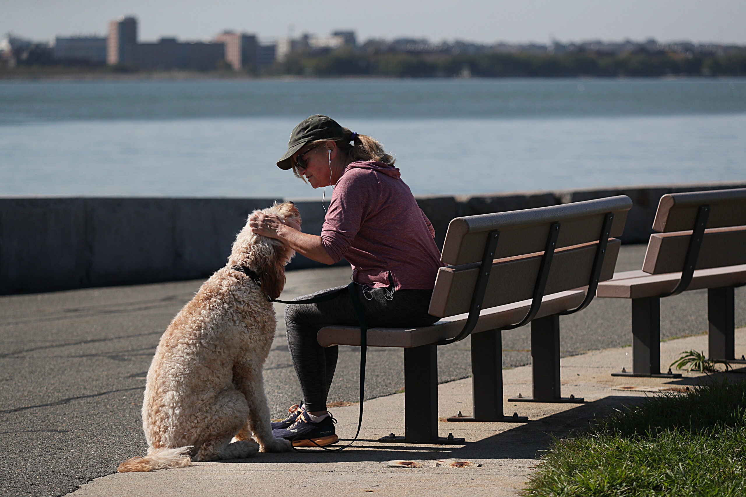 A woman has a warm moment with her 18 month old Golden Doodle Lincoln at Castle Island.
