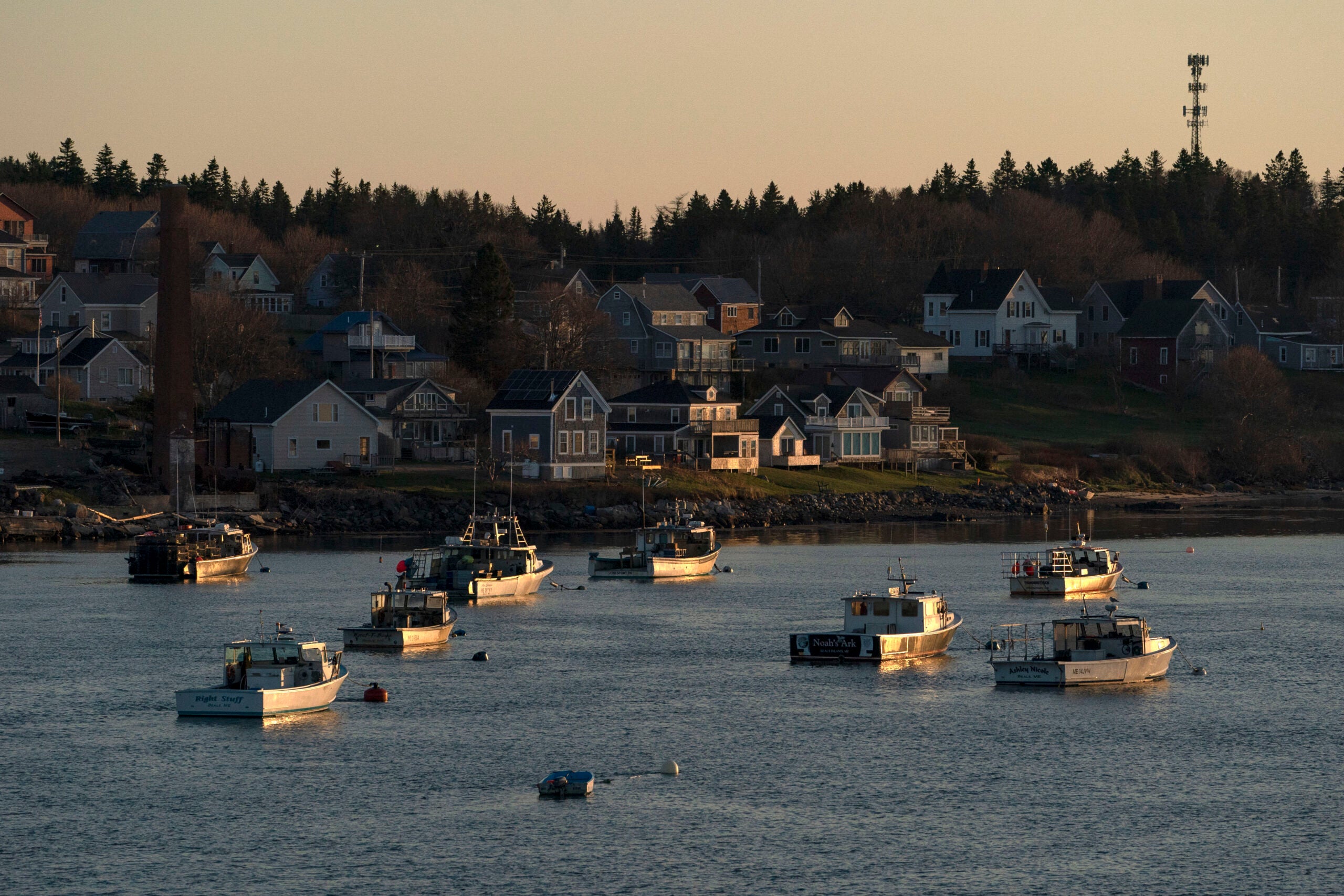 Lobster boats sit at their moorings in Jonesport, Maine.