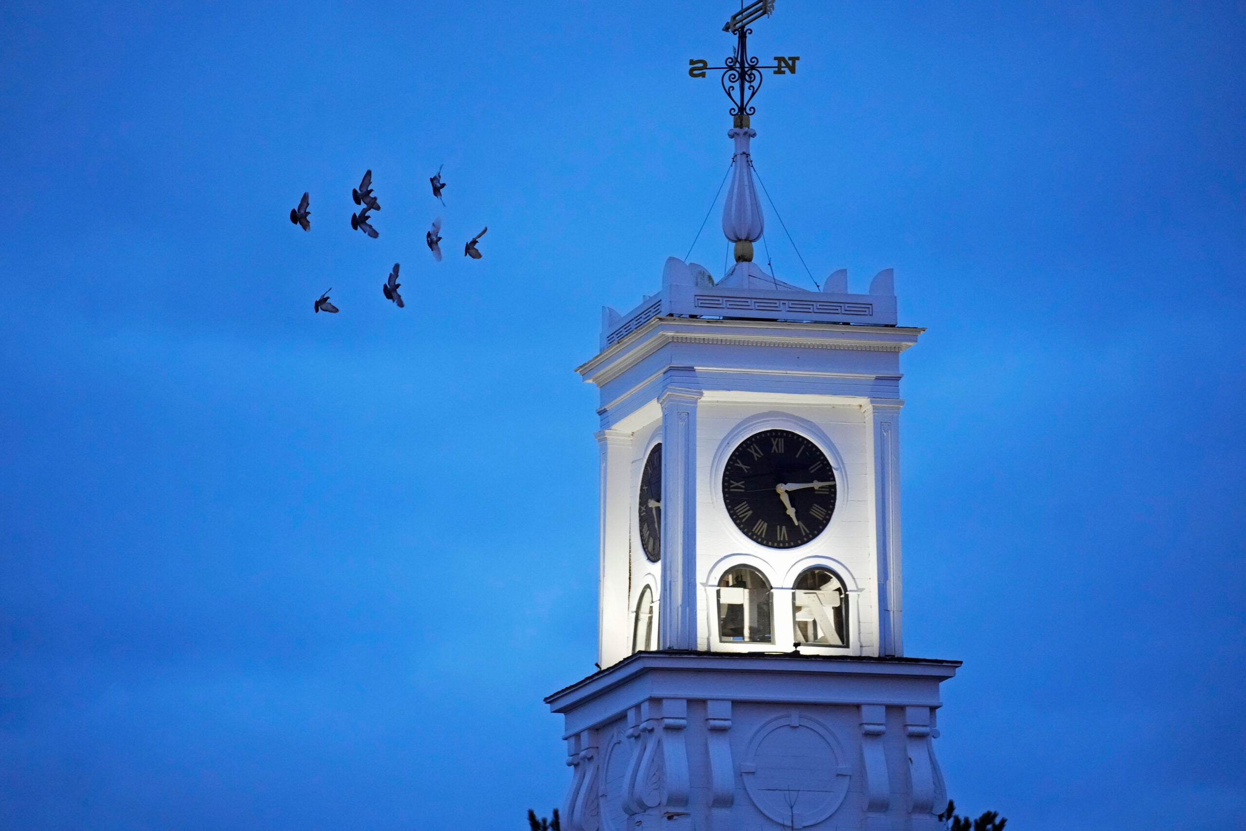 Pigeons circle a church tower in Columbia Falls, Maine.