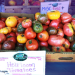 B-side farmers markets Boston