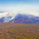 Smoke billows over a forest from wildfires in Nova Scotia