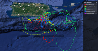 Leatherback Sea Turtle Conservation A Focus Of Boston Researchers In 