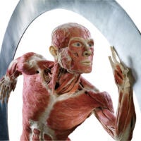 "The Body Runner," an object at the Body Worlds exhibit opening in Boston.