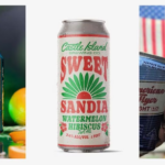 Summer beers from Harpoon and Castle Island Brewing