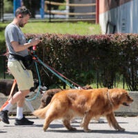 Mike Nordblom, of The Fetching Hound, walks his five charges on Medford Street in Charlestown on Wednesday.