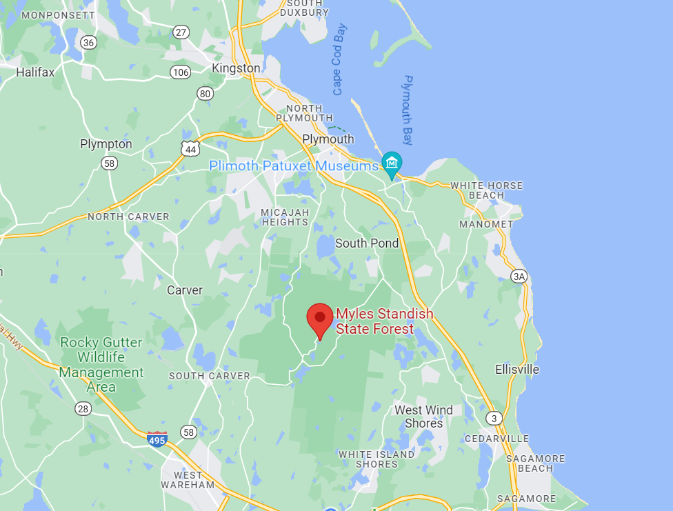 New Bedford man fatally shot in Myles Standish State Forest