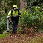 A gardener uses a leaf blower to clear leaves at a home.