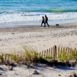 Two people in cold-weather clothes walk along a beach near the ocean.