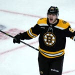 Boston Bruins forward Jakub Lauko celebrates after his goal against the Buffalo Sabres during the second period of an NHL hockey game Thursday, March 2, 2023, in Boston.