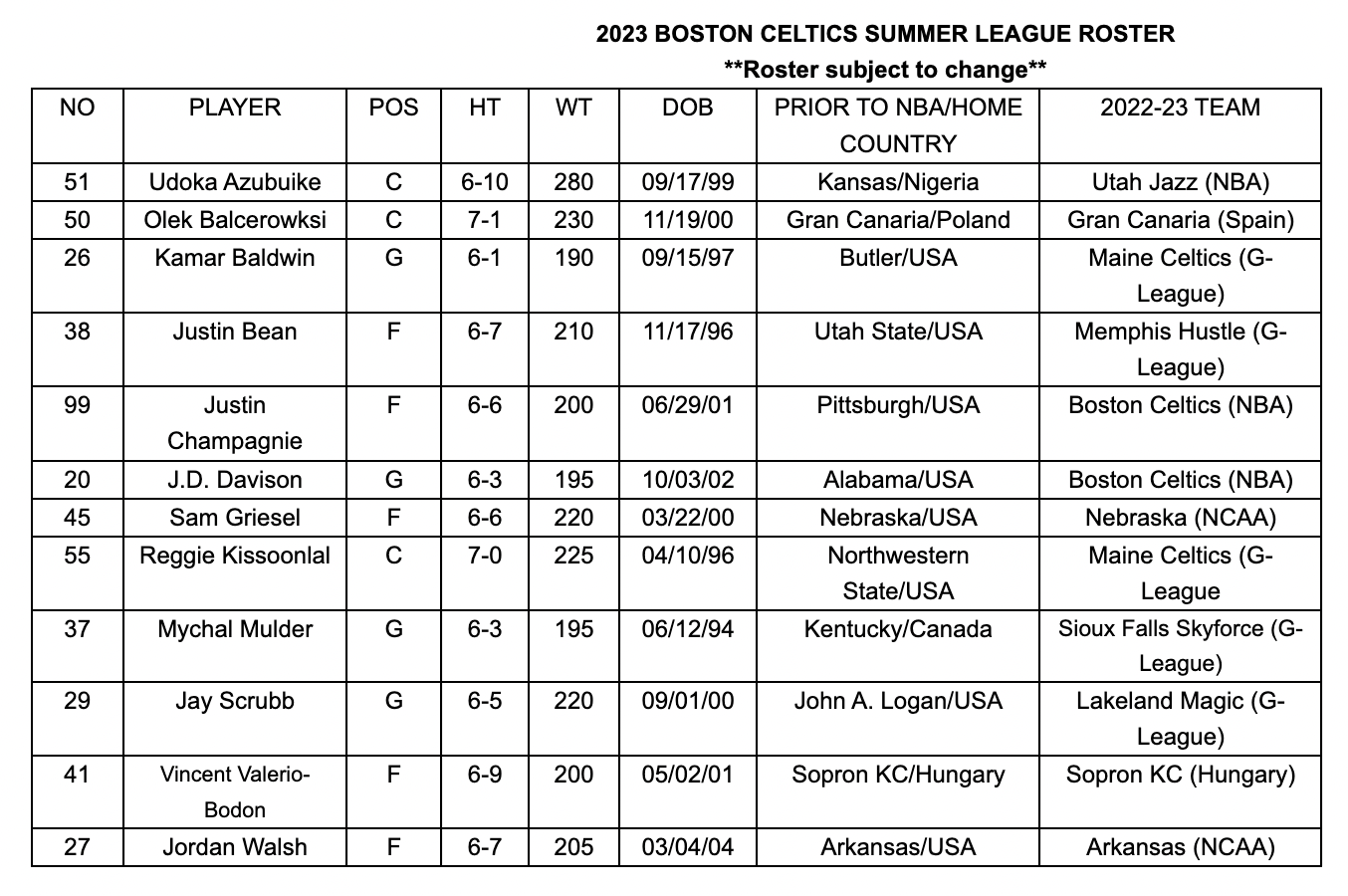 Celtics announce Summer League roster