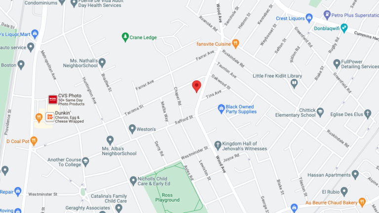 Four-year-old boy killed in Hyde Park hit-and-run - Vimarsana News