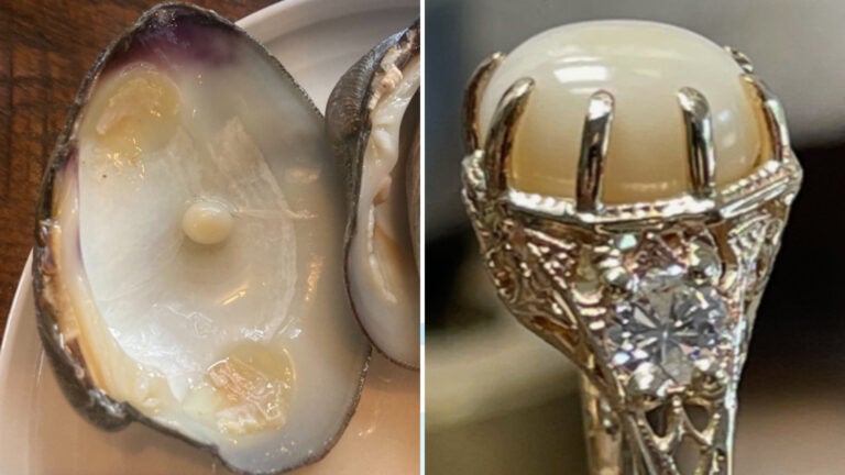 R.I. woman turned pearl found in a clam into her engagement ring