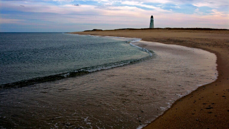 Shark Attack Water Racer  New England Event Rental - Party Vision