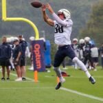 Patriots tight end Mike Gesicki made a catch during training camp on the Gillette Stadium practice field on Monday.