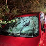 A red car with a smashed window shield off the road in some trees.