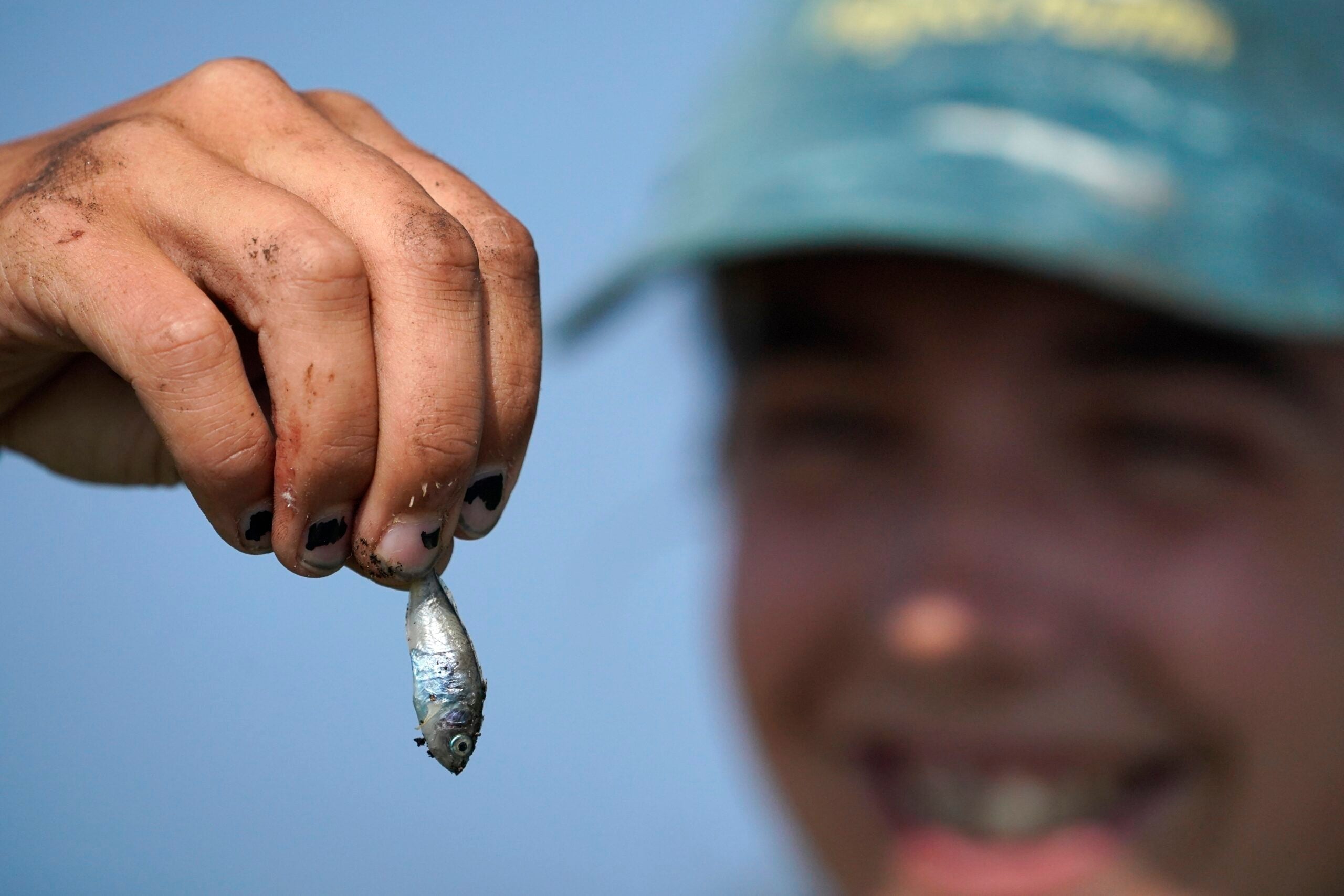 A biologist holds a small fish.
