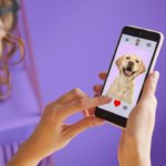 The B-Side dogfishing Boston