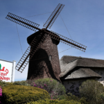 A large windmill next to a sign for Christmass Tree Shops