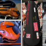 A viola stolen from Brighton.