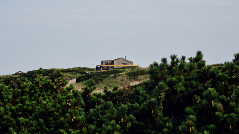A dune shack along the Cape Cod National Seashore near Provincetown, Mass. Foliage in the foreground