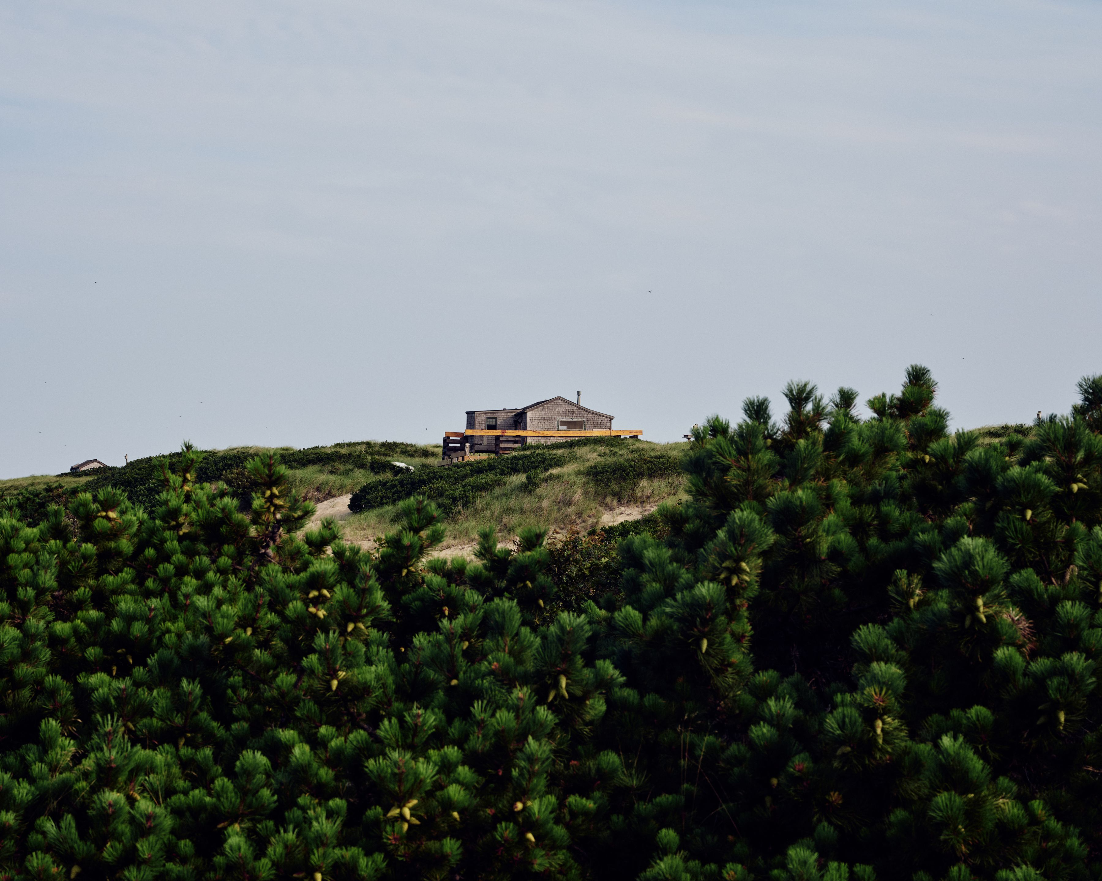 A dune shack along the Cape Cod National Seashore near Provincetown, Mass. Foliage in the foreground